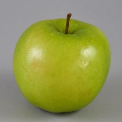 Pommier greffé Granny Smith