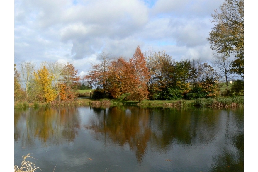 Gestion de l'irrigation et respect de l'environnement de l'entreprise